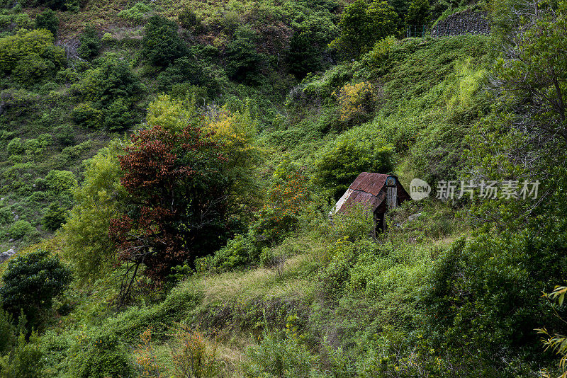 马德拉风景，Nova和Moinho levada步道，不可接近的动物小屋